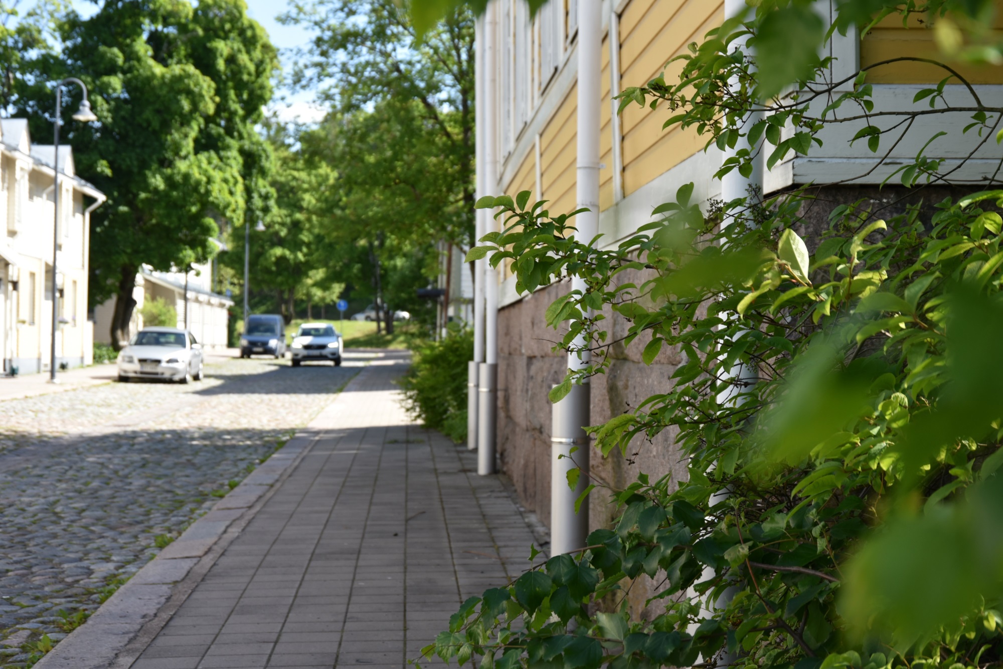Katunäkymä, kadun varrella taloja, autoja, puita ja pensaita.